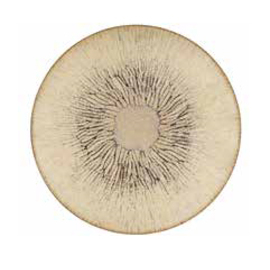 plate SIROKO flat Ø 270 mm H 25 mm product photo