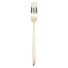 dining fork ORCA Champagne L 207 mm product photo