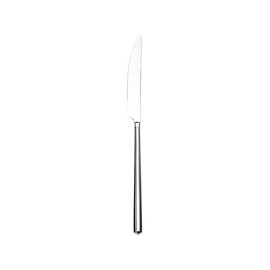 dining knife CENTO massive handle L 236 mm product photo