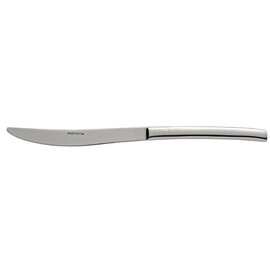 dining knife FJORD  L 235 mm massive handle product photo