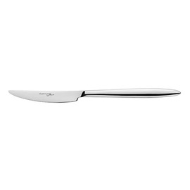 dining knife ADAGIO  L 224 mm massive handle product photo