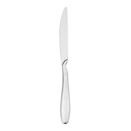 dining knife ANZO ERGO L 235 mm product photo