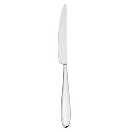pudding knife ANZO L 215 mm product photo