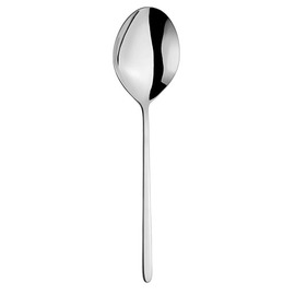 serving spoon ALASKA stainless steel L 251 mm product photo