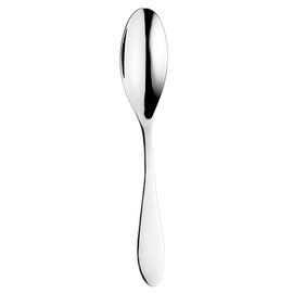 dining spoon SALSA L 205 mm product photo