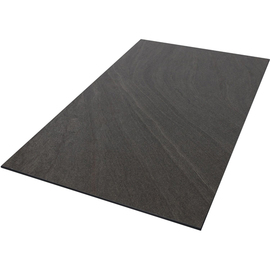 display tray GN 1/1 SAHARA DARK plastic 6 mm  L 530 mm  B 325 mm product photo