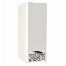 economic ice cream storage cabinet TKU 603 Eis white 600 ltr | static cooling | door swing on the right product photo