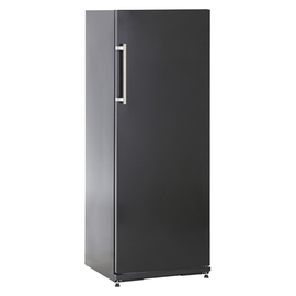 freezer TK 311 black | 232 ltr | solid door | changeable door hinge product photo
