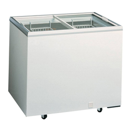 impulse freezer D 300 white | 296 ltr product photo