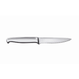 steak knife FIORENTINA stainless steel serrated cut L 230 mm product photo