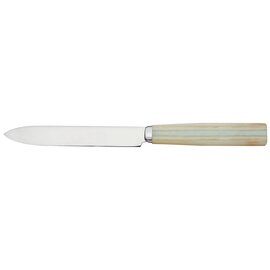 dining knife DAKAR onyx  L 230 mm product photo