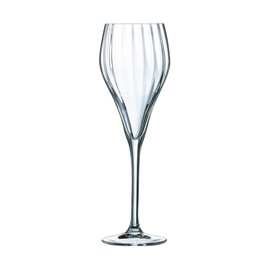 champagne goblet SYMETRIE 16 cl H 198 mm product photo