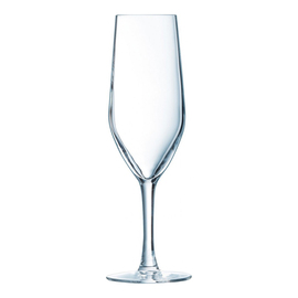 champagne goblet EVIDENCE 16 cl with mark; 0,1l /-/ H 190 mm product photo