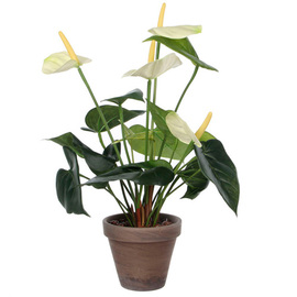 artificial flower flamingo flower white with planter H 400 mm product photo