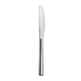 dining knife ALIDA chrome steel blade length 106 mm product photo