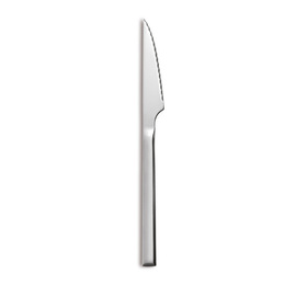 steak knife HOTEL EXTRA M chrome steel blade length 100 mm product photo