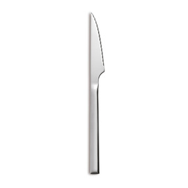 steak knife ALIDA chrome steel blade length 100 mm product photo