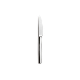 dining knife MALVARROSA chrome steel product photo