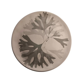 plate CHEF'S PLATE stoneware taupe Ø 310 mm product photo