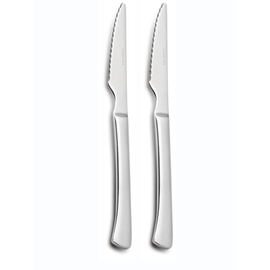 steak knife stainless steel L 215 mm | 2 pieces product photo