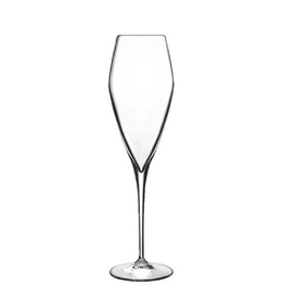 prosecco glass | champaign glass 27 cl ATELIER product photo