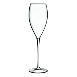 champagne goblet MAGNIFICO 32 cl product photo