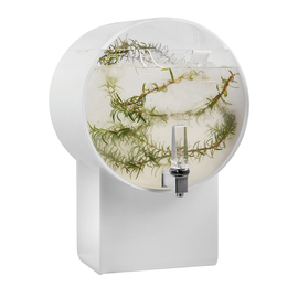beverage dispenser | infuser LUCID Barrel white H 447 mm product photo