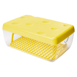 cheese storage box plastic with lid | 260 mm x 170 mm H 105 mm incl. drip tray | divider grid product photo