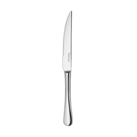 steak knife RADFORD L 249 mm product photo
